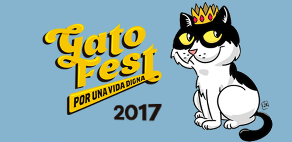 GATO FEST 2017