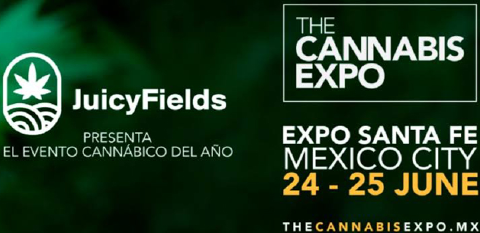EXPO CANNABIS 2021